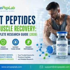 Best Peptides for Muscle Recovery: The Complete Research Guide (2026) | SinoPepLab Germany