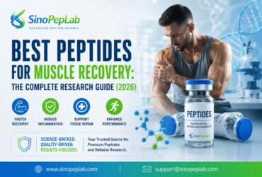 Best Peptides for Muscle Recovery research featuring BPC-157, TB-500, GHK-Cu, CJC-1295, and Ipamorelin with SinoPepLab German quality standards, HPLC-tested research peptides, and COA with every batch.