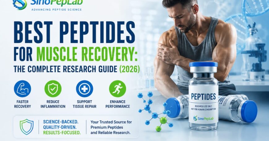 Best Peptides for Muscle Recovery research featuring BPC-157, TB-500, GHK-Cu, CJC-1295, and Ipamorelin with SinoPepLab German quality standards, HPLC-tested research peptides, and COA with every batch.