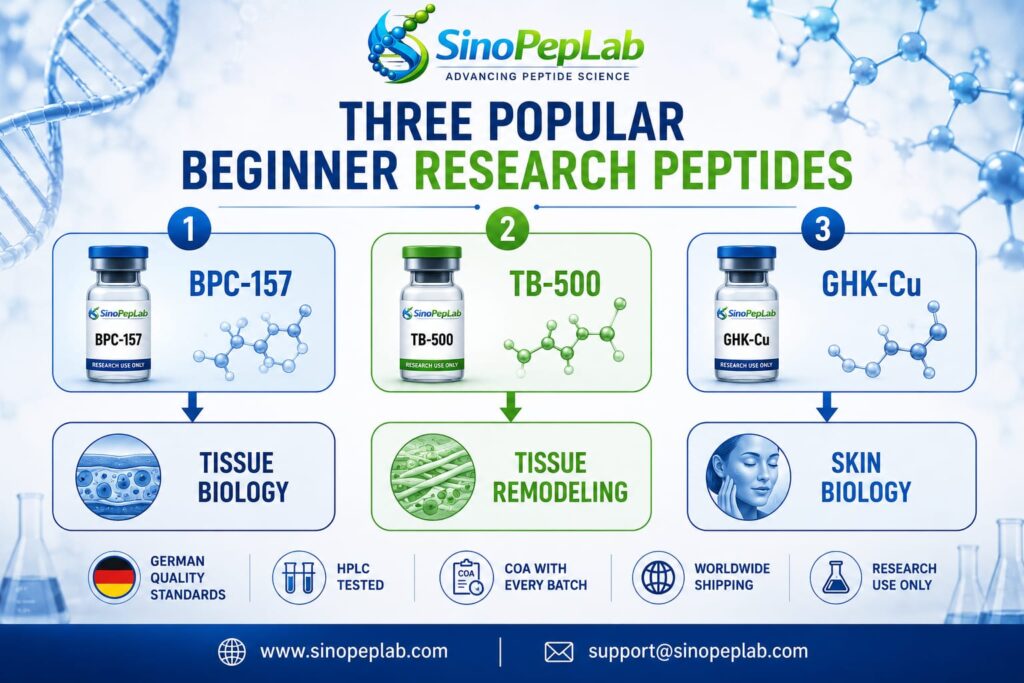 Best Peptides for Beginners in Germany | Complete Research Guide | SinoPepLab Best Research Peptides for Beginners featured image by SinoPepLab showing BPC-157, TB-500, CJC-1295, Ipamorelin, and GHK-Cu research peptides with laboratory quality standards and German-tested research branding.