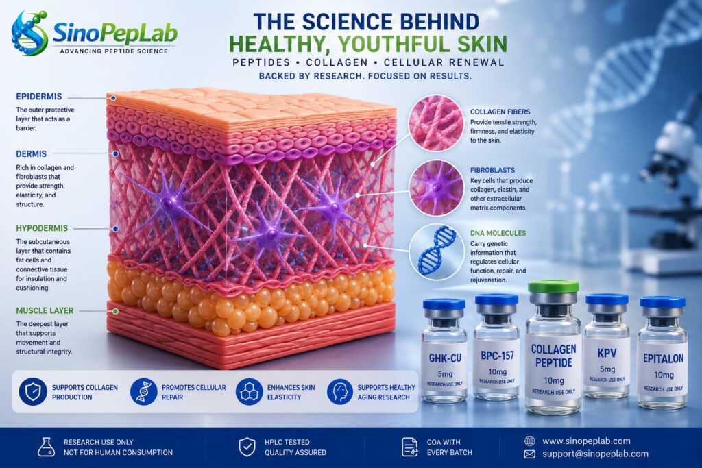 The Complete Research Guide to Anti-Aging Research Peptides in Germany & Europe